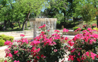 Flowers and fountain near retreat location for A Memory Grows